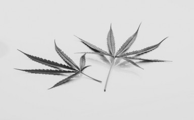 Лечение наркомании Советской Гавани